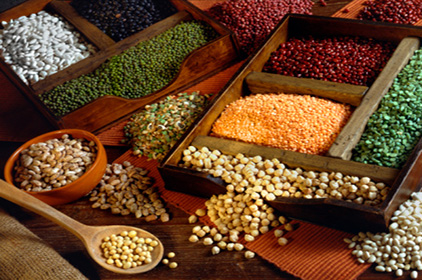 legumes.jpg