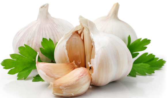 garlic1.jpg